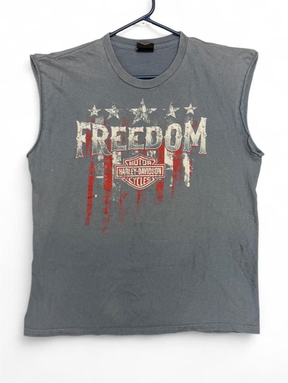 Harley Davidson Men's Grey cut off Tshirt